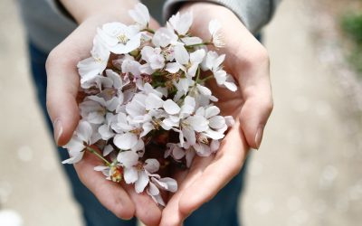 Spring Clean Yourself!